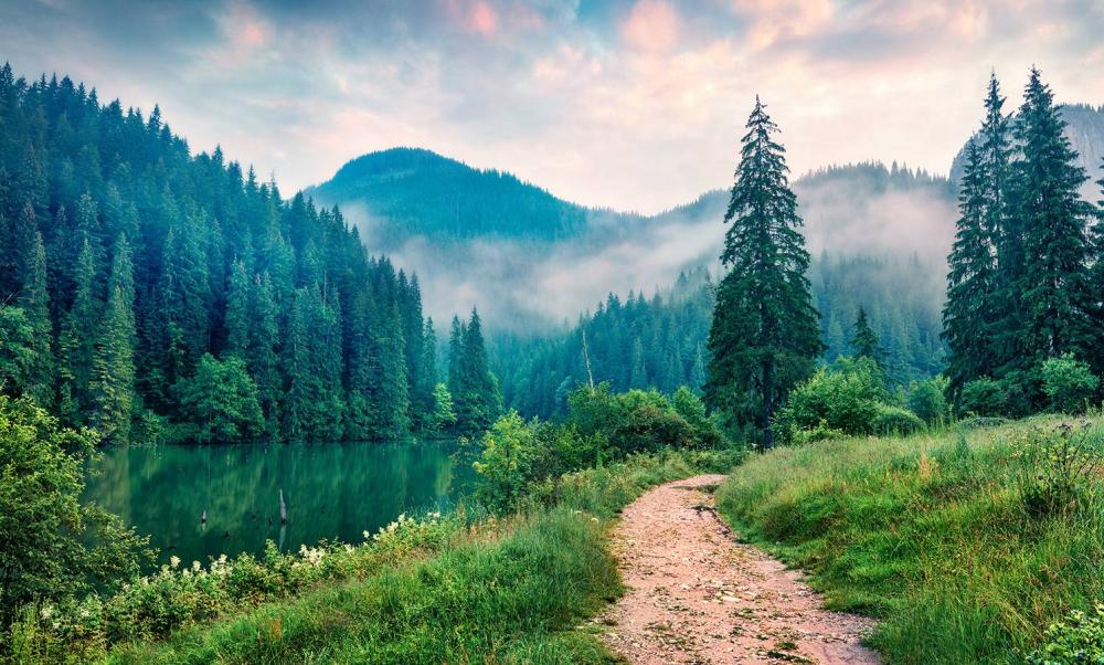 foret-montagnes-chemin-lac